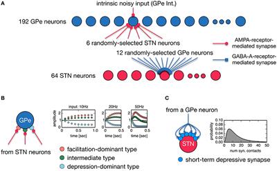 Computational Model of Recurrent Subthalamo-Pallidal Circuit for Generation of Parkinsonian Oscillations